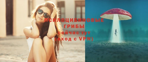 гидра Приозерск
