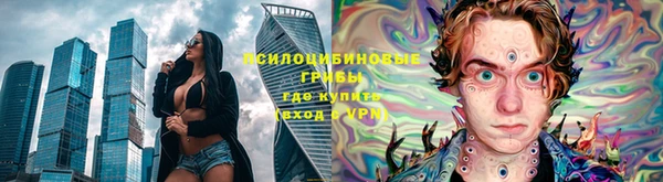Альфа ПВП Протвино